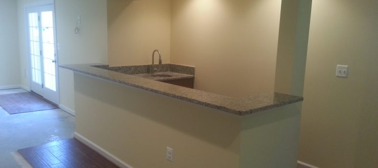 Basement Remodel