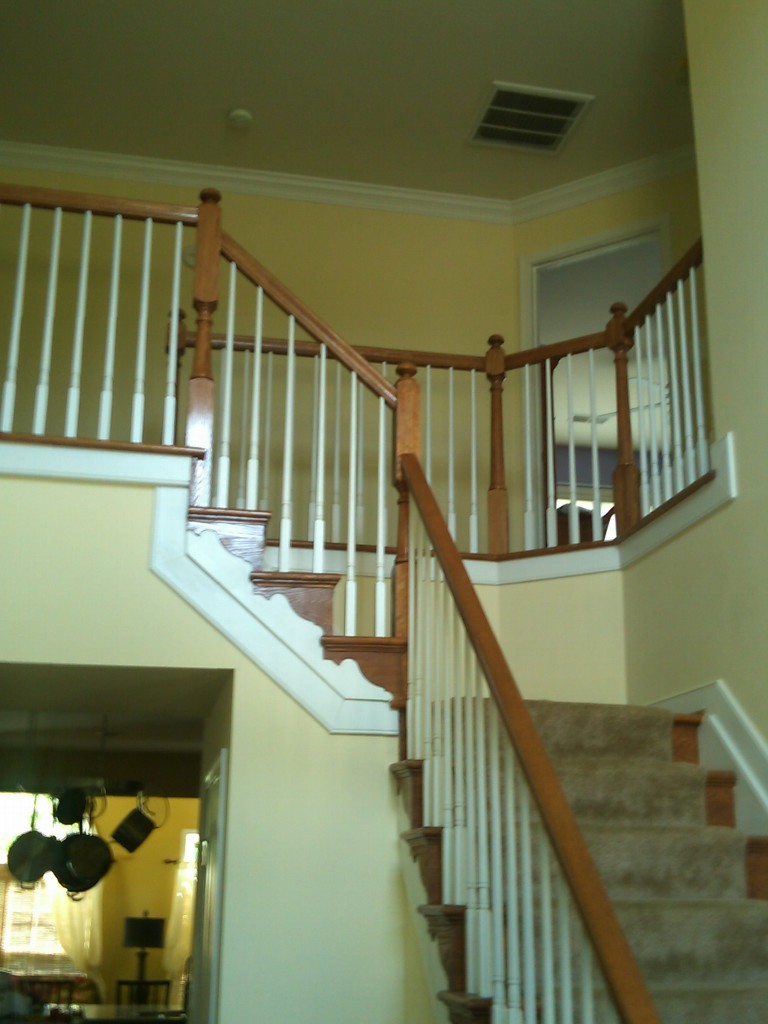 Gainesville-20110801-00005