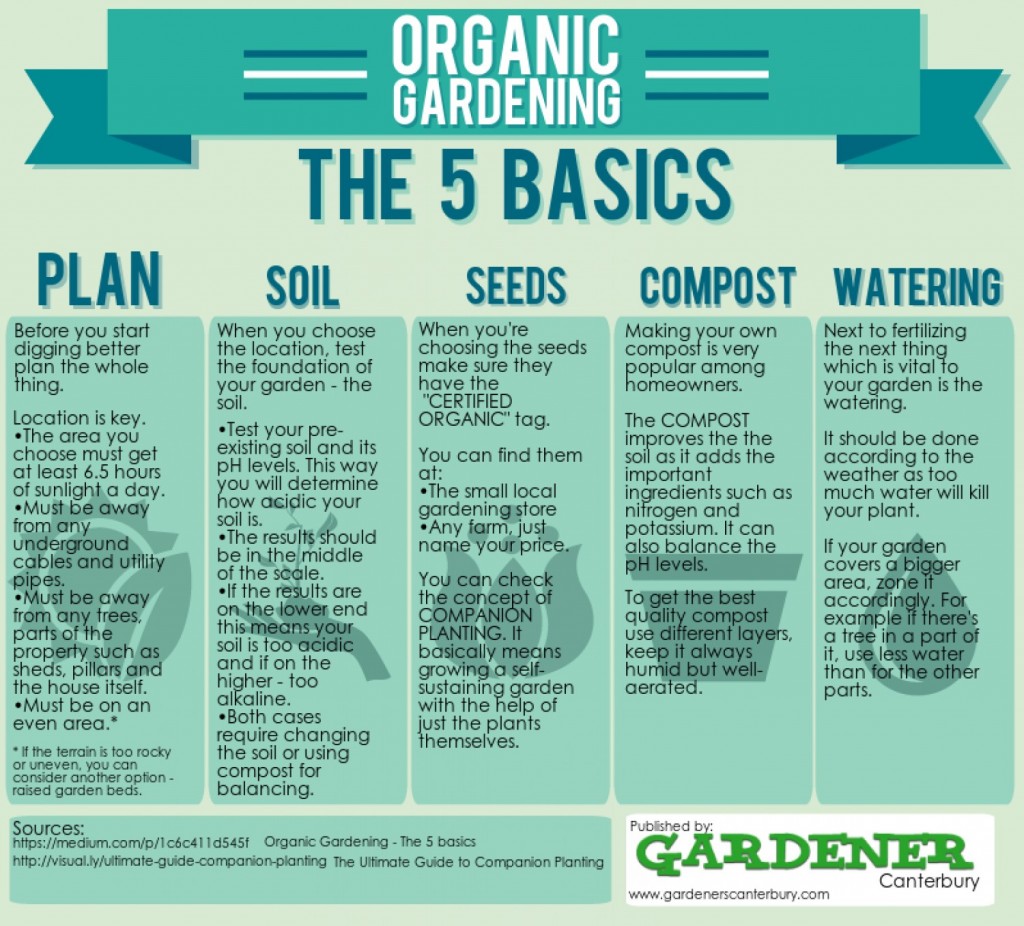 organic gardening basics