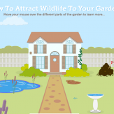 Making Your Yard a Wildlife Park