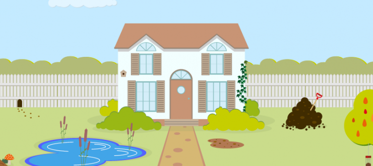 Making Your Yard a Wildlife Park