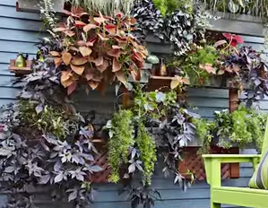 DIY Living Wall for Your Backyard