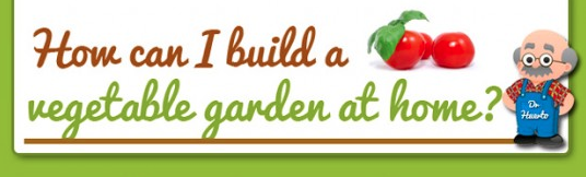 5 Starter Garden Crops