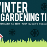 How to Garden in the Snow