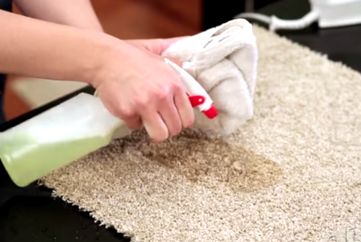 Removing Carpet Stains