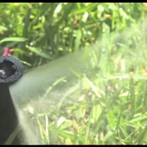 Preparing Your Lawn for Winter