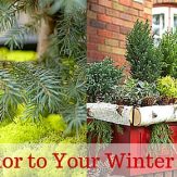 Coloring in Your Winter Garden