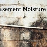 Dry a Damp Basement