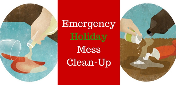 Emergency Clean-Up for Holiday Messes