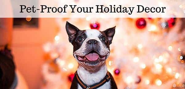 Deck the Halls with Dog-Friendly Decor